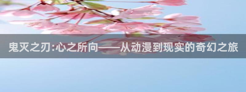 动漫屋目官方网