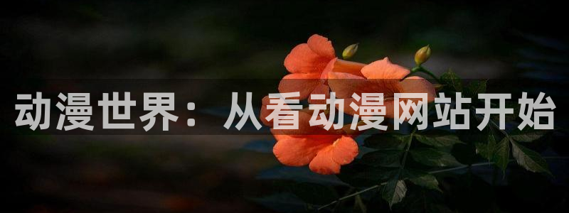 动漫屋网站