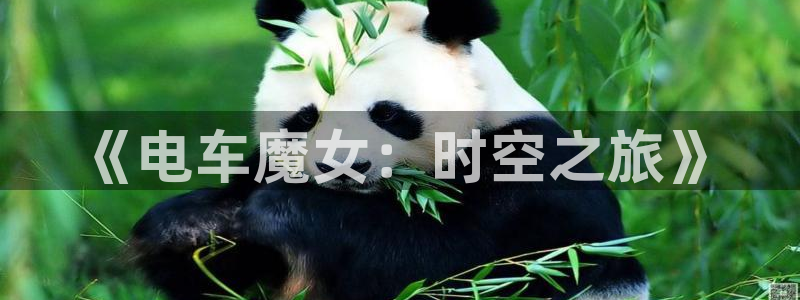 动漫屋官网入口